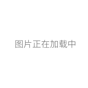 临海谭氏防爆旋片真空泵2XZF-2 三相 2L/s